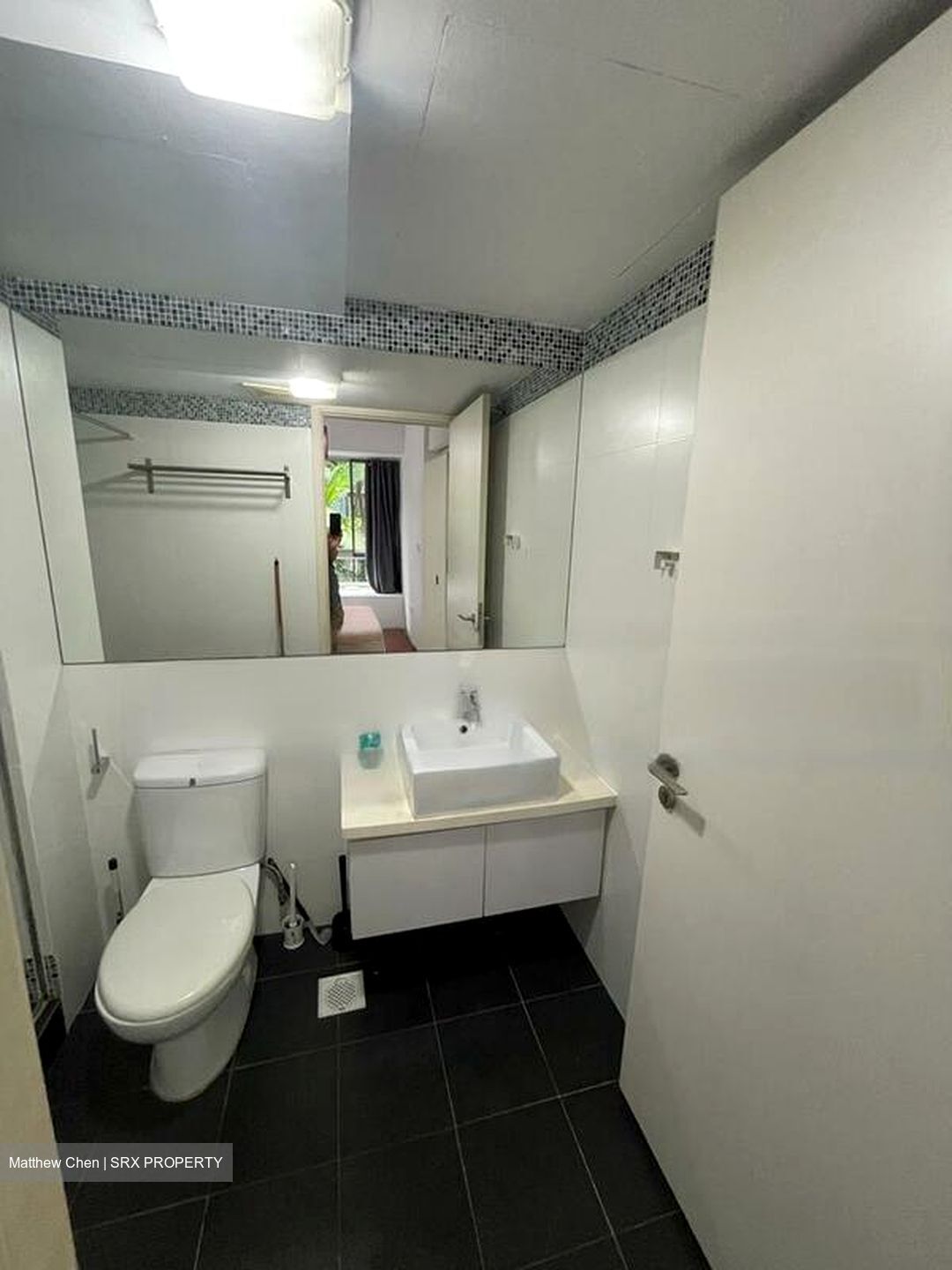Parc Sophia (D9), Apartment #460686921